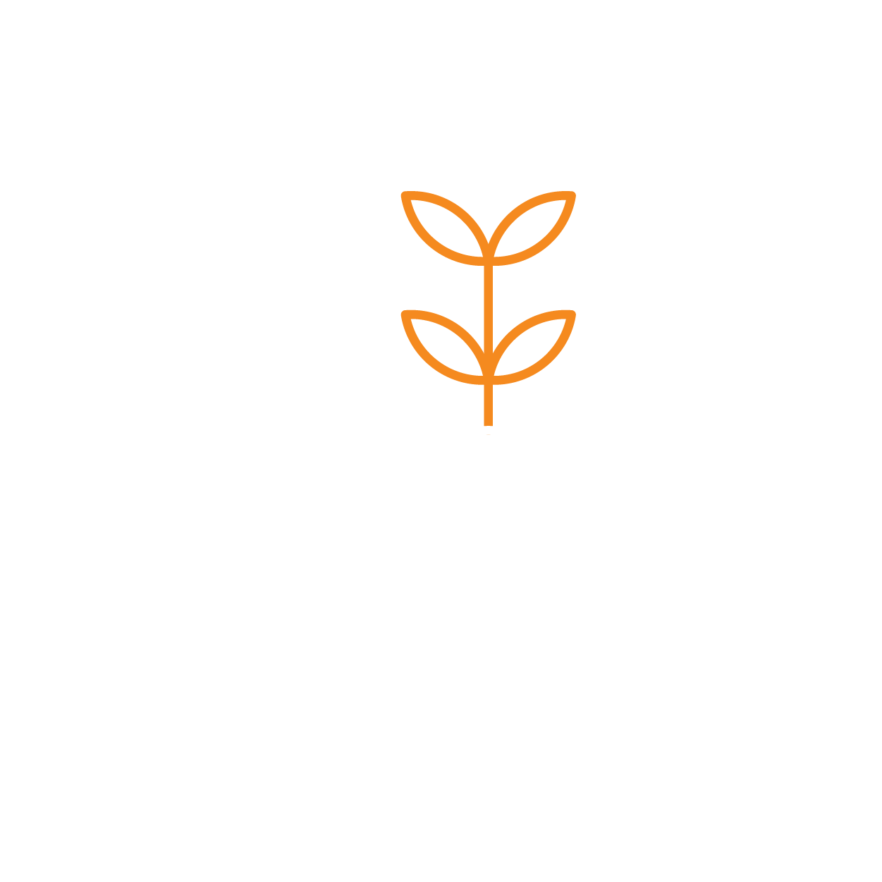 iconsDandC-25
